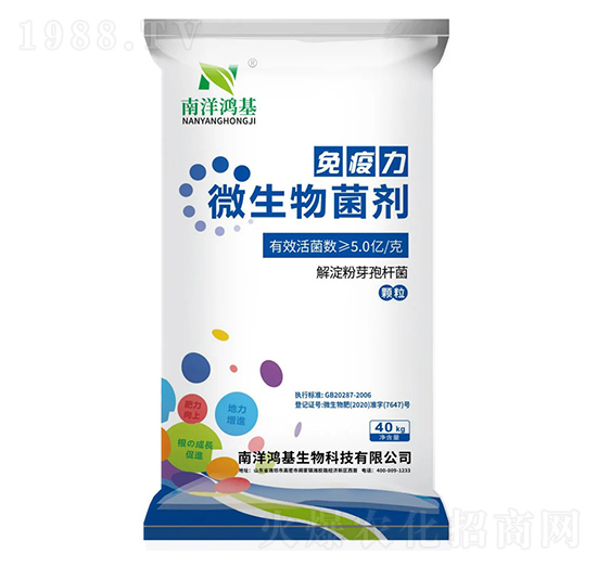 ΢����������w����-��������