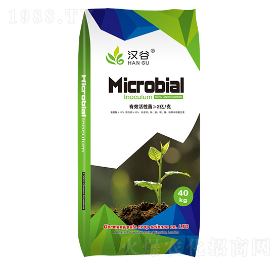 2�|΢�������-�h��-�՘�����