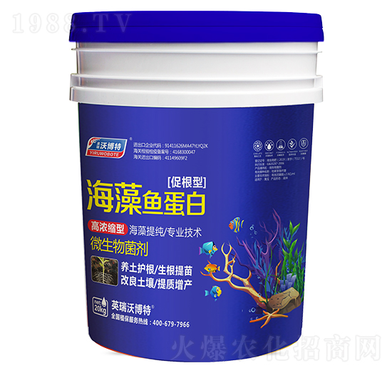 �����~(y��)���ף��ٸ��ͣ�-Ӣ���ֲ���