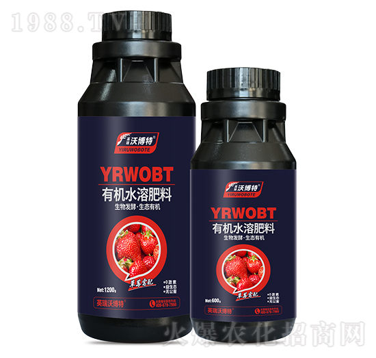 草莓需配有機水溶肥料-英瑞沃博特