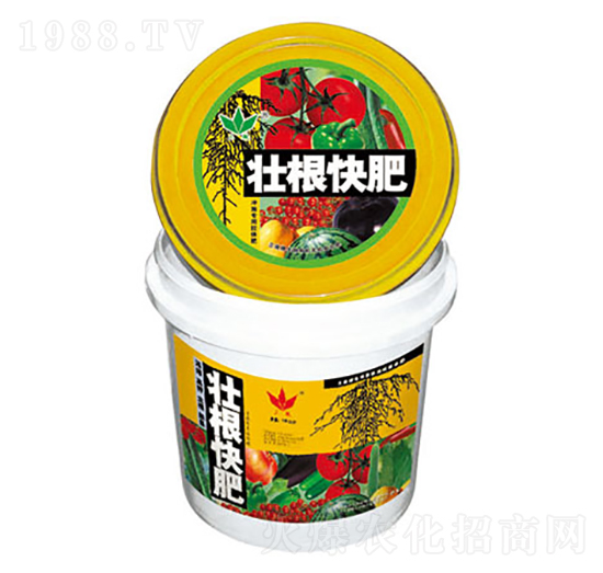 �Ѹ����-��΢����