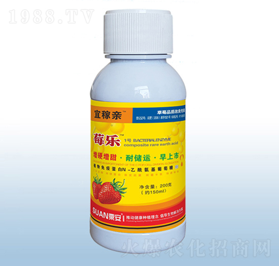 ݮ��-�˼��H-�ڰ�