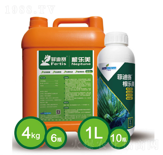 菲迪賽根樂美-翠禾