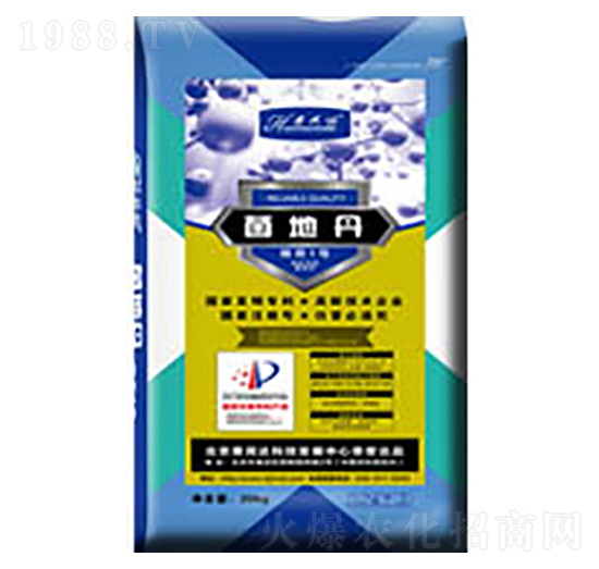 ���ص�-����1̖-�����_(d��)