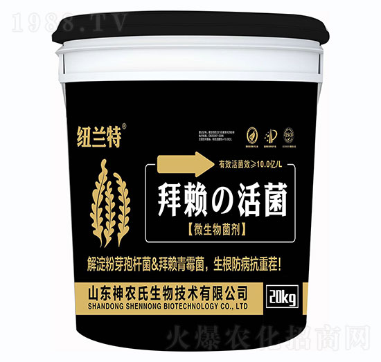 ΢���������-��ه�����-�~�m��-���r��