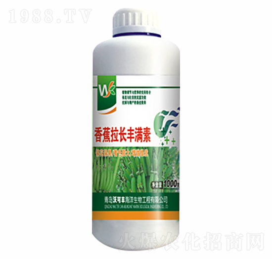 香蕉拉長(zhǎng)豐滿(mǎn)素-沃可豐