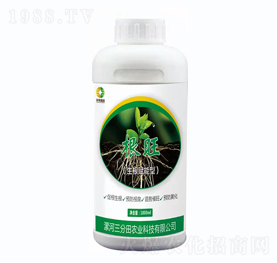 生根賦能型-根旺-豐悅嘉園-三分田