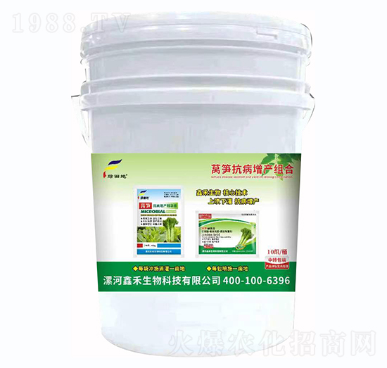 萵筍抗病增產(chǎn)組合-綠田地-鑫禾生物