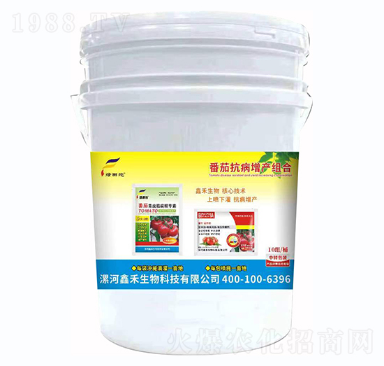 番茄抗病增產(chǎn)組合-綠田地-鑫禾生物