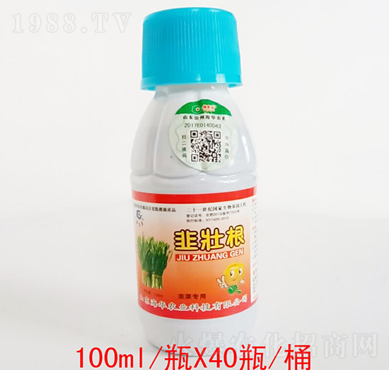 韭壯根-海華農(nóng)業(yè)