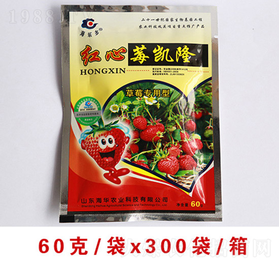 �t��ݮ�P������ʩ��-���A�r(n��ng)�I(y��)