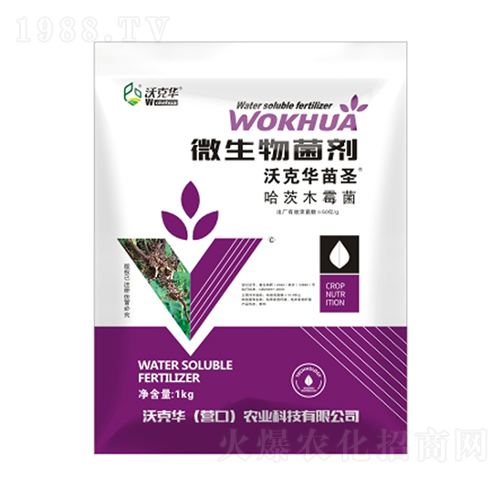 ΢�������������ľù����-�ֿ��A��ʥ-�ֿ��A