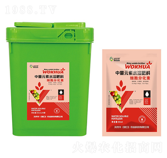 ��(x��)���ֻ���-�ֿ��A