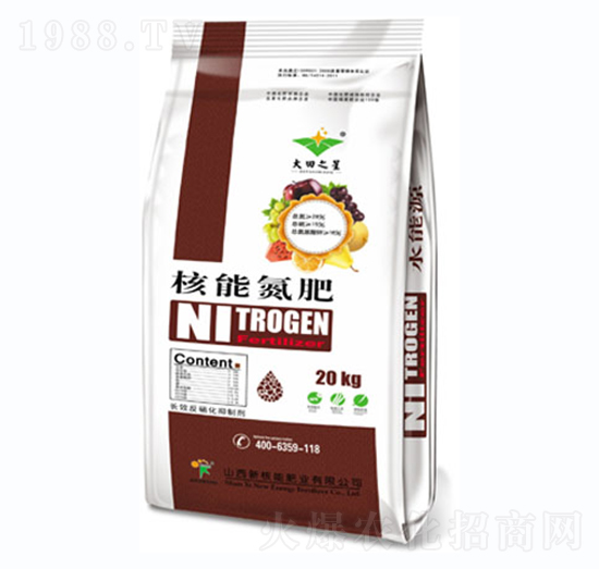 核能氮肥-新核能