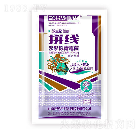 淡紫擬青霉菌-拼線-韓農(nóng)