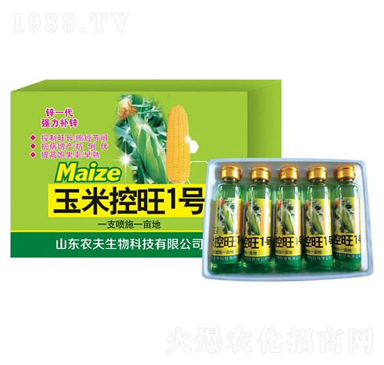 ���׿���1̖(h��o)-�r(n��ng)��