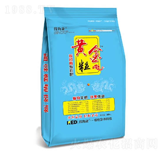 黃金粒-得海龍-康恩地