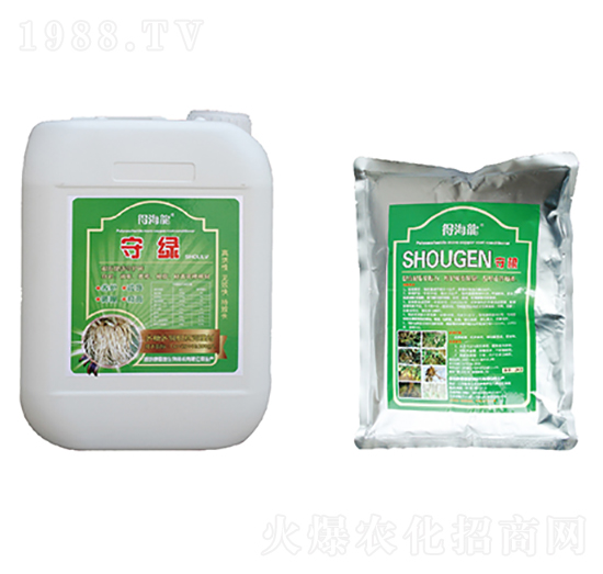 守綠、守根-得海龍-康恩地