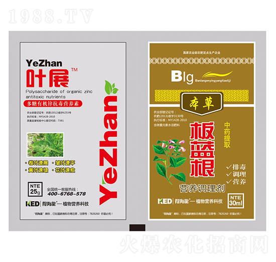 葉展板藍(lán)根-得海龍-康恩地