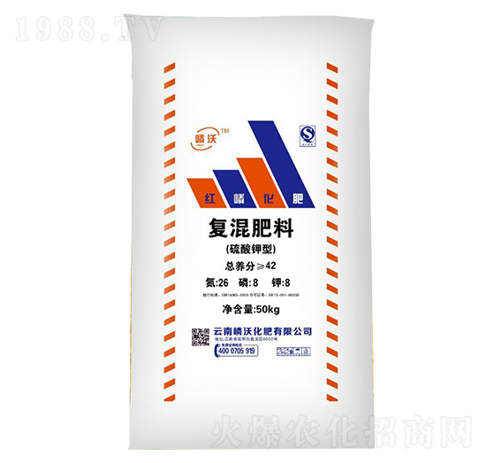 ������͏ͻ����26-8-8-����