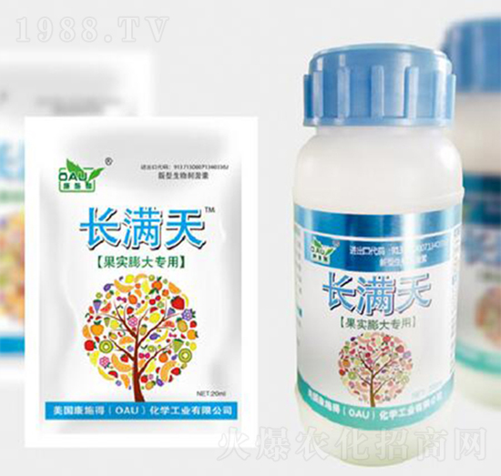 ���������-�L�M��-��ʩ��