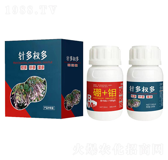 ᘶ�辶�-����(l��)��