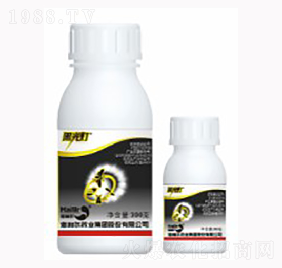 金黑光燈-海利爾