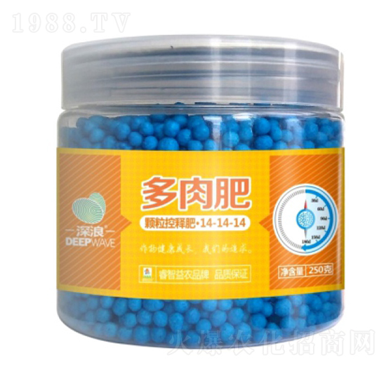 多肉型顆?？蒯尫?睿智益農(nóng)