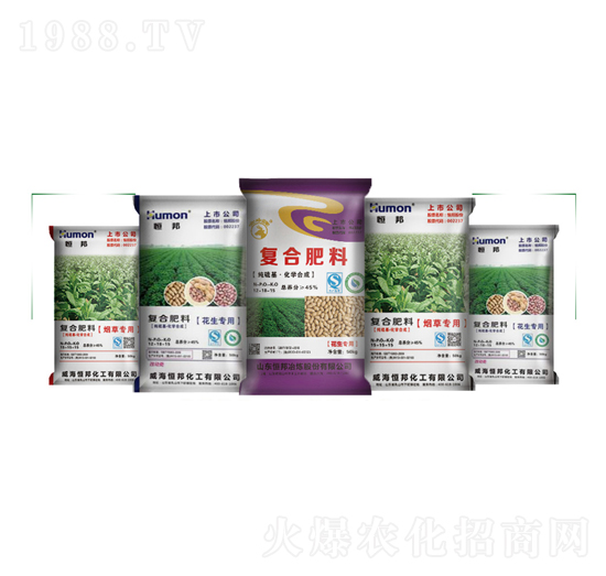 ���ÏͺϷ���-����