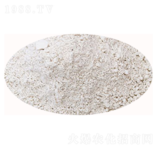 殼聚糖（白）-鯨靈