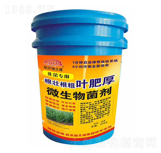 韭菜專用根壯根粗葉肥厚-聯(lián)農(nóng)瑞豐德