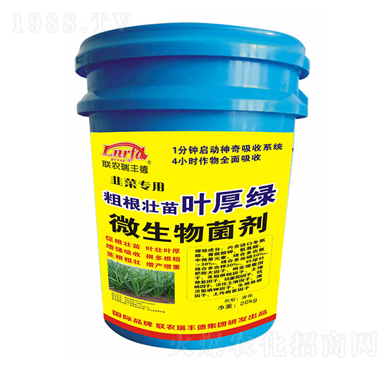 韭菜專用粗根壯苗葉厚綠-聯(lián)農(nóng)瑞豐德