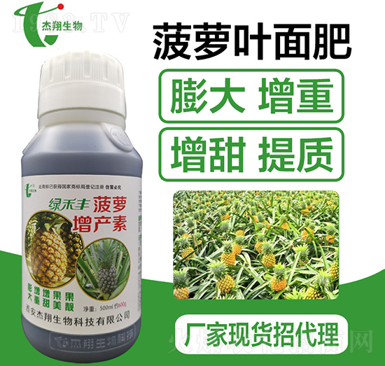 菠蘿增產(chǎn)素-杰翔生物