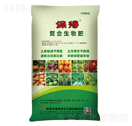 �ͺ������-��������