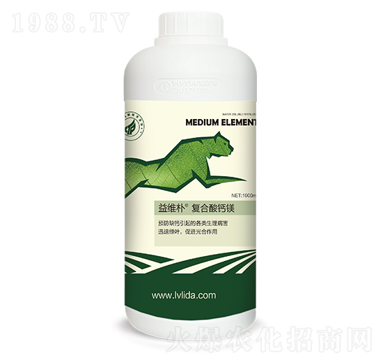 ��S��ͺ����}�V-���}