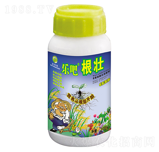 300g樂吧根壯（育秧型）-百陽墾