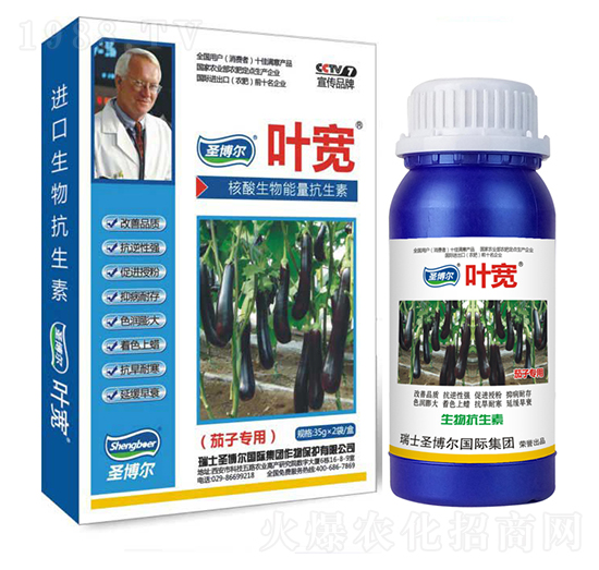 茄子專用葉面肥-多糖生物酶誘抗肽-葉寬-圣博爾生物