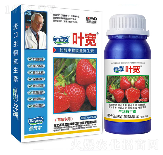 草莓專用葉面肥-多糖生物酶誘抗肽-葉寬-圣博爾生物