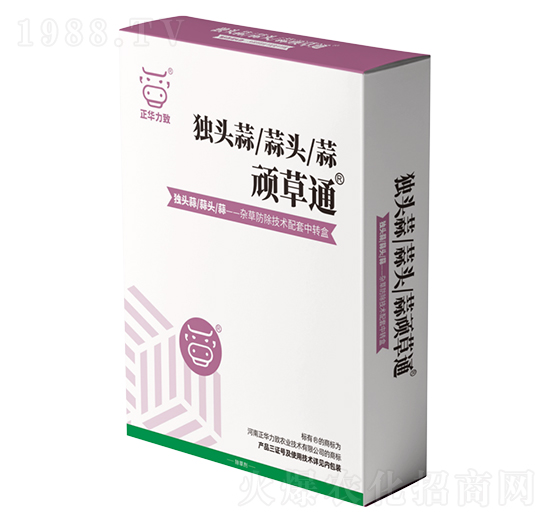 獨(dú)頭蒜頑草通-正華力致