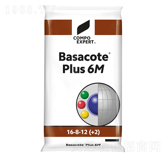 ���_��16-8-12(6M)-����