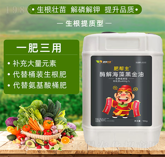 �������|�;۹Ȱ��������-�ʎ���-�°��~��