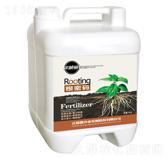 ���ܴa-������