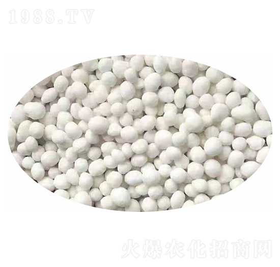 氨酸復合肥-國農農業(yè)