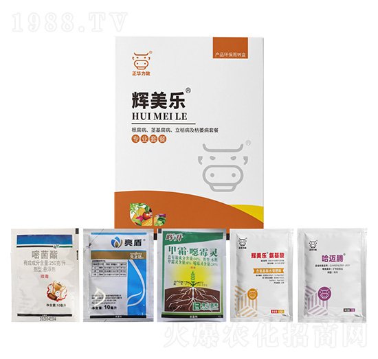 根腐病、莖基腐病、立枯病及枯萎病套餐-輝美樂-正華力致