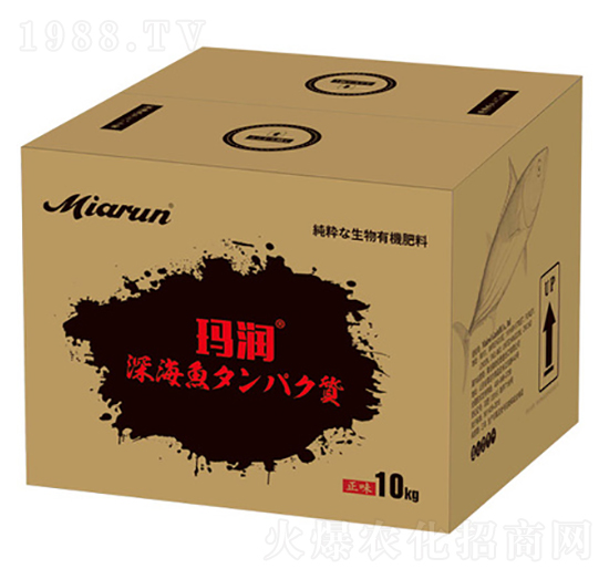 �ձ��M���~����-����-����