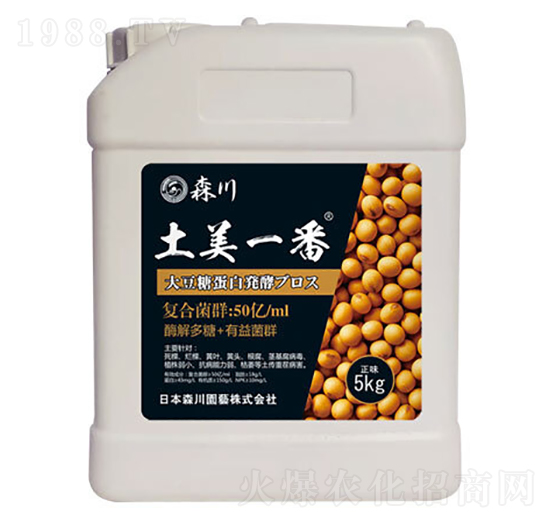 ����һ�������;���-ɭ��-����