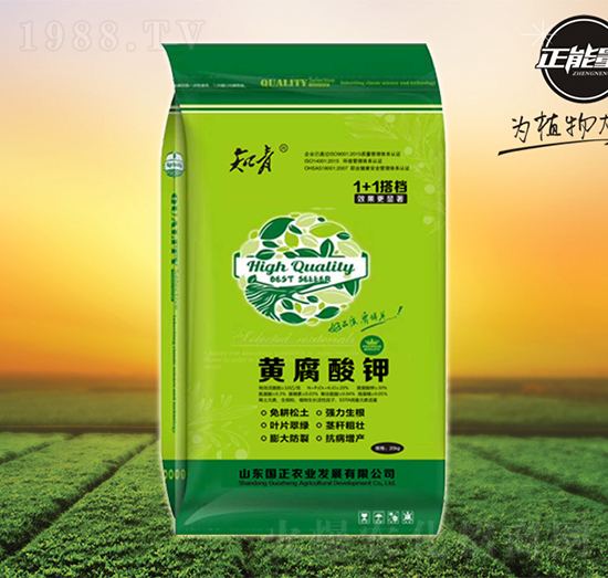 �S�����1+1��n-֪��-������