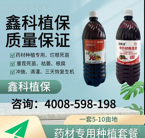 ��ˎ�ĸ����`-�ο�ֲ��