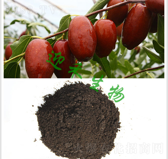 ���ЙC(j��)��-ӭ������