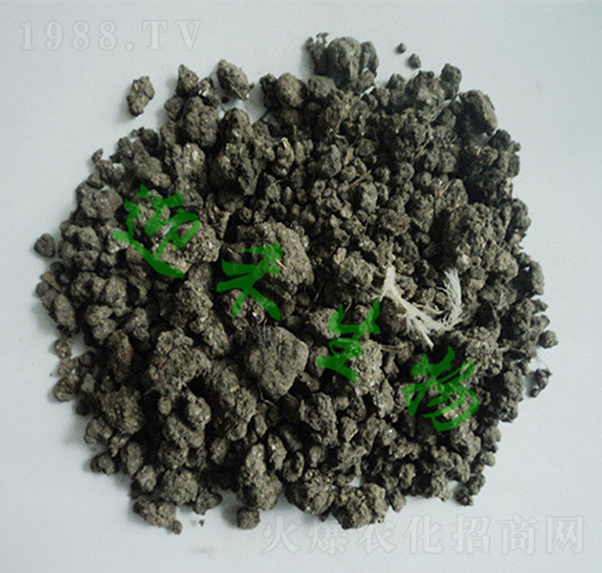 ���u�S1̖(h��o)-ӭ������